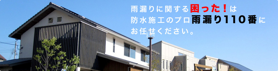 index.html