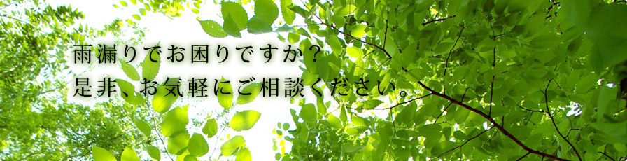 index.html