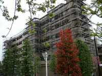 戸建住宅 外壁塗装